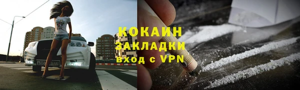 дживик Верхний Тагил