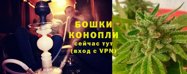 ГАЛЛЮЦИНОГЕННЫЕ ГРИБЫ Бородино