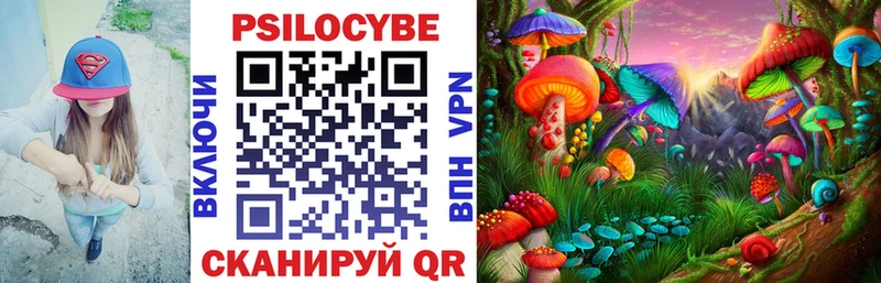 Псилоцибиновые грибы Psilocybe  Верхотурье 